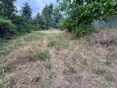 Eladó üdülőövezeti telek Monor