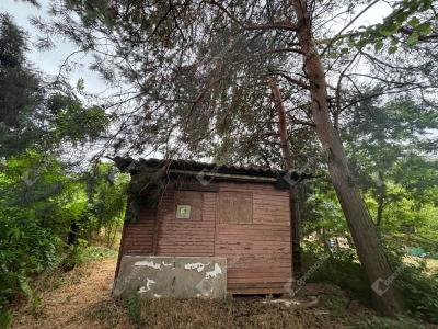 Eladó üdülőövezeti telek Monor