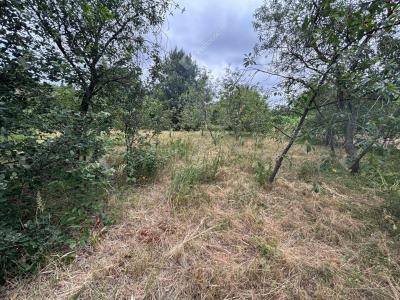 Eladó üdülőövezeti telek Monor