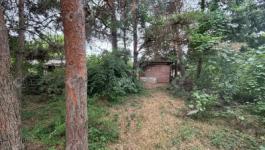 Eladó üdülőövezeti telek Monor