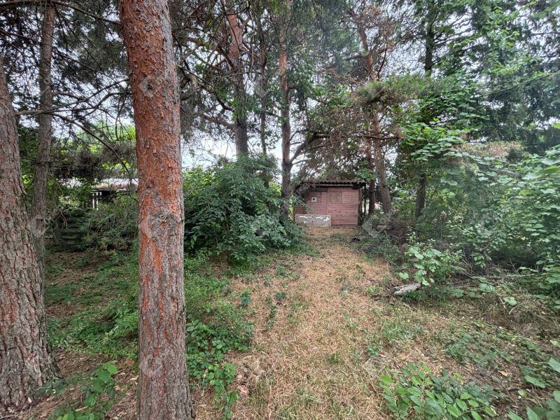 Eladó üdülőövezeti telek Monor