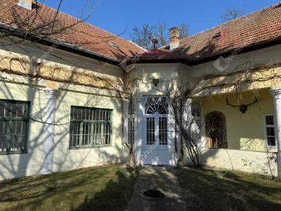 Eladó kastély Albertirsa