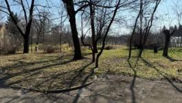 Eladó kastély Albertirsa