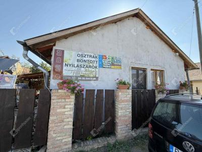 Eladó családi ház Monor