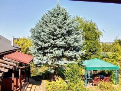 Eladó családi ház Győrújbarát