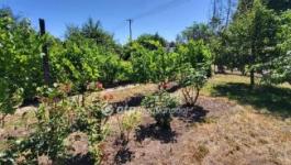 Eladó nyaraló Győr