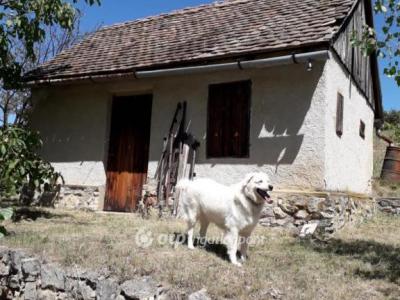 Eladó nyaraló Gyód