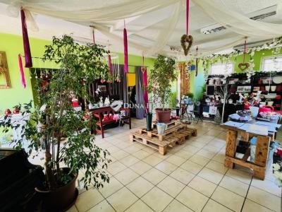 Eladó családi ház Tápiószecső