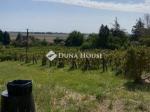 Eladó külterületi telek Decs