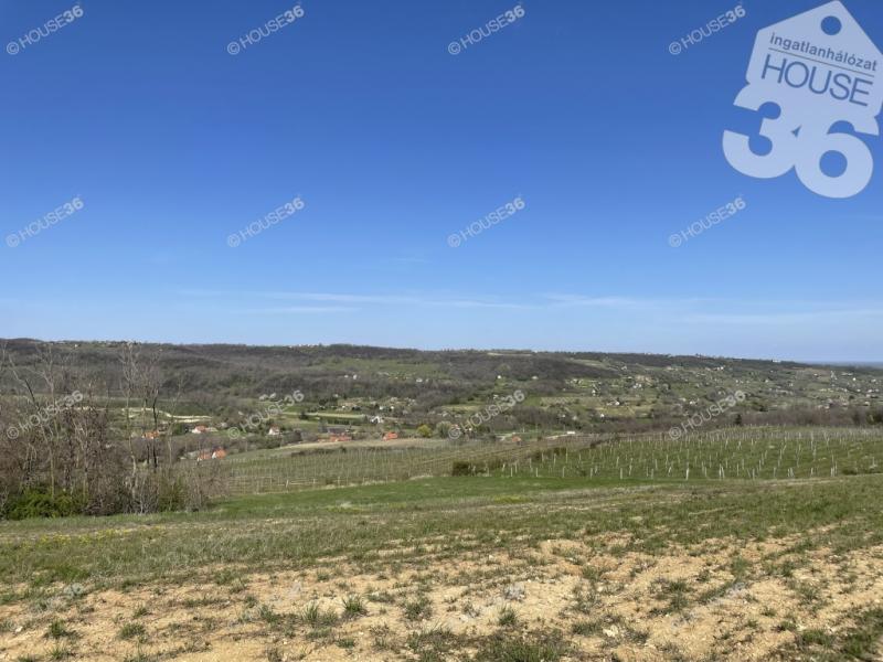 Eladó külterületi telek Szekszárd
