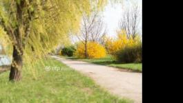 Eladó egyéb telek Hajdúszoboszló