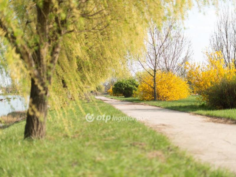 Eladó egyéb telek Hajdúszoboszló