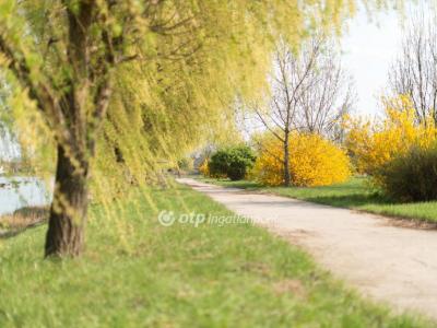 Eladó egyéb telek Hajdúszoboszló