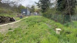 Eladó üdülőövezeti telek Budapest