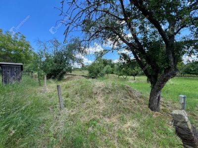 Eladó nyaraló Monor