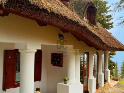 Eladó családi ház Nagykovácsi