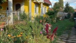 Eladó családi ház Szolnok