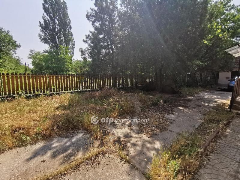 Eladó tanya Albertirsa