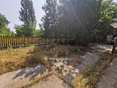 Eladó tanya Albertirsa