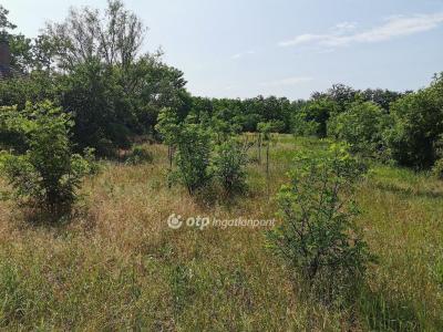 Eladó tanya Albertirsa