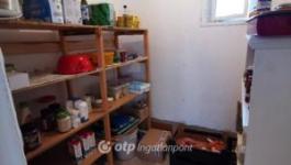 Eladó tanya Albertirsa