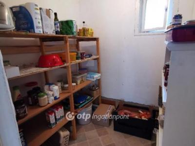 Eladó tanya Albertirsa