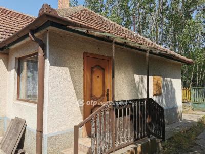 Eladó tanya Albertirsa