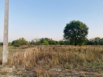Eladó lakóövezeti telek Dabas