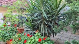 Eladó iroda lakásban Budapest