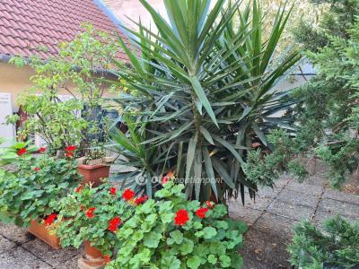 Eladó iroda lakásban Budapest