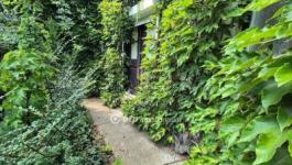 Eladó családi ház Szentes