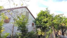 Eladó családi ház Szentes