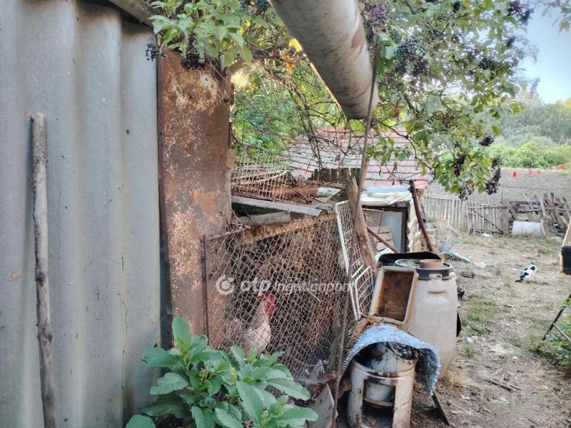 Eladó családi ház Kunszentmárton