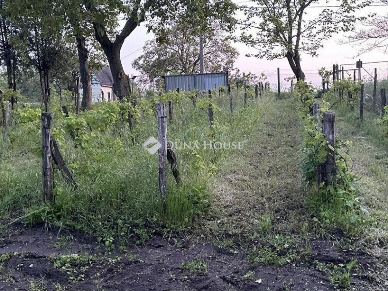 Eladó lakóövezeti telek Mezőfalva