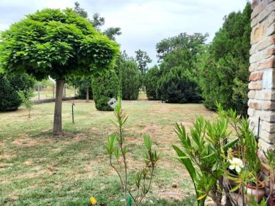 Eladó családi ház Újhartyán