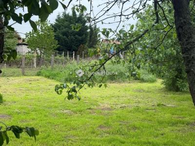 Eladó lakóövezeti telek Szigetszentmárton