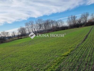 Eladó lakóövezeti telek Ráckeve
