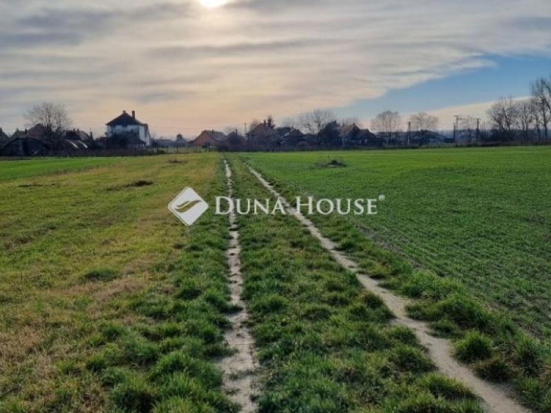 Eladó lakóövezeti telek Ráckeve