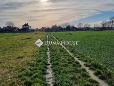 Eladó lakóövezeti telek Ráckeve