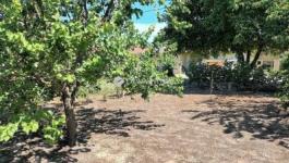 Eladó lakóövezeti telek Halásztelek