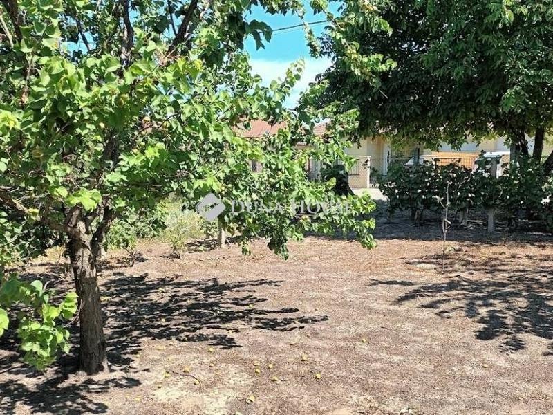 Eladó lakóövezeti telek Halásztelek