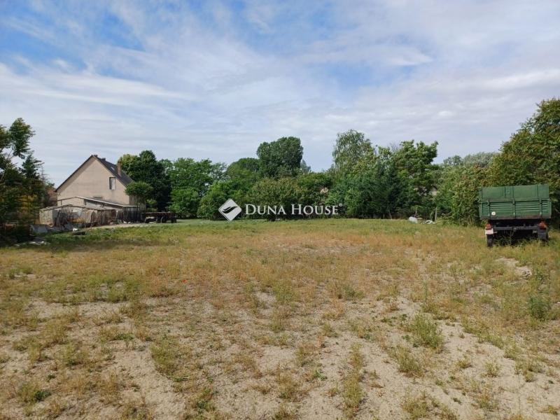 Eladó lakóövezeti telek Ráckeve