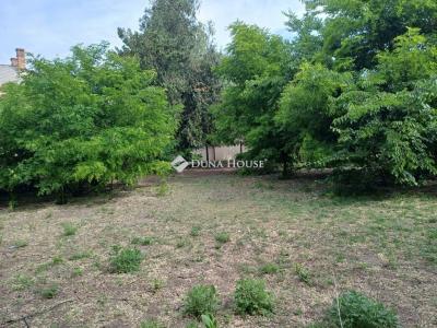 Eladó lakóövezeti telek Ráckeve