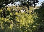 Eladó lakóövezeti telek Budapest