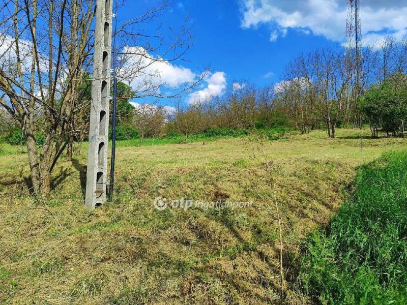 Eladó családi ház Domony