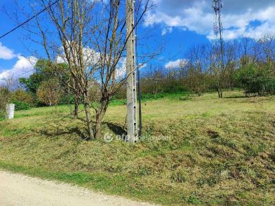 Eladó családi ház Domony