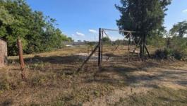 Eladó lakóövezeti telek Taksony