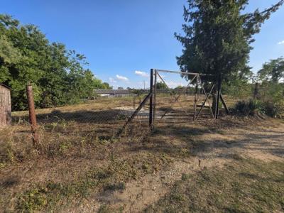 Eladó lakóövezeti telek Taksony