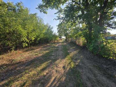 Eladó lakóövezeti telek Taksony