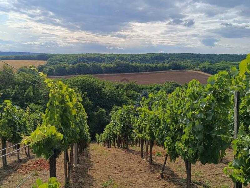 Eladó nyaraló Nagykanizsa